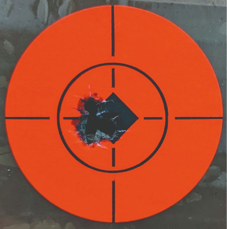 Target shot with the Vudoo Three 60 rifle